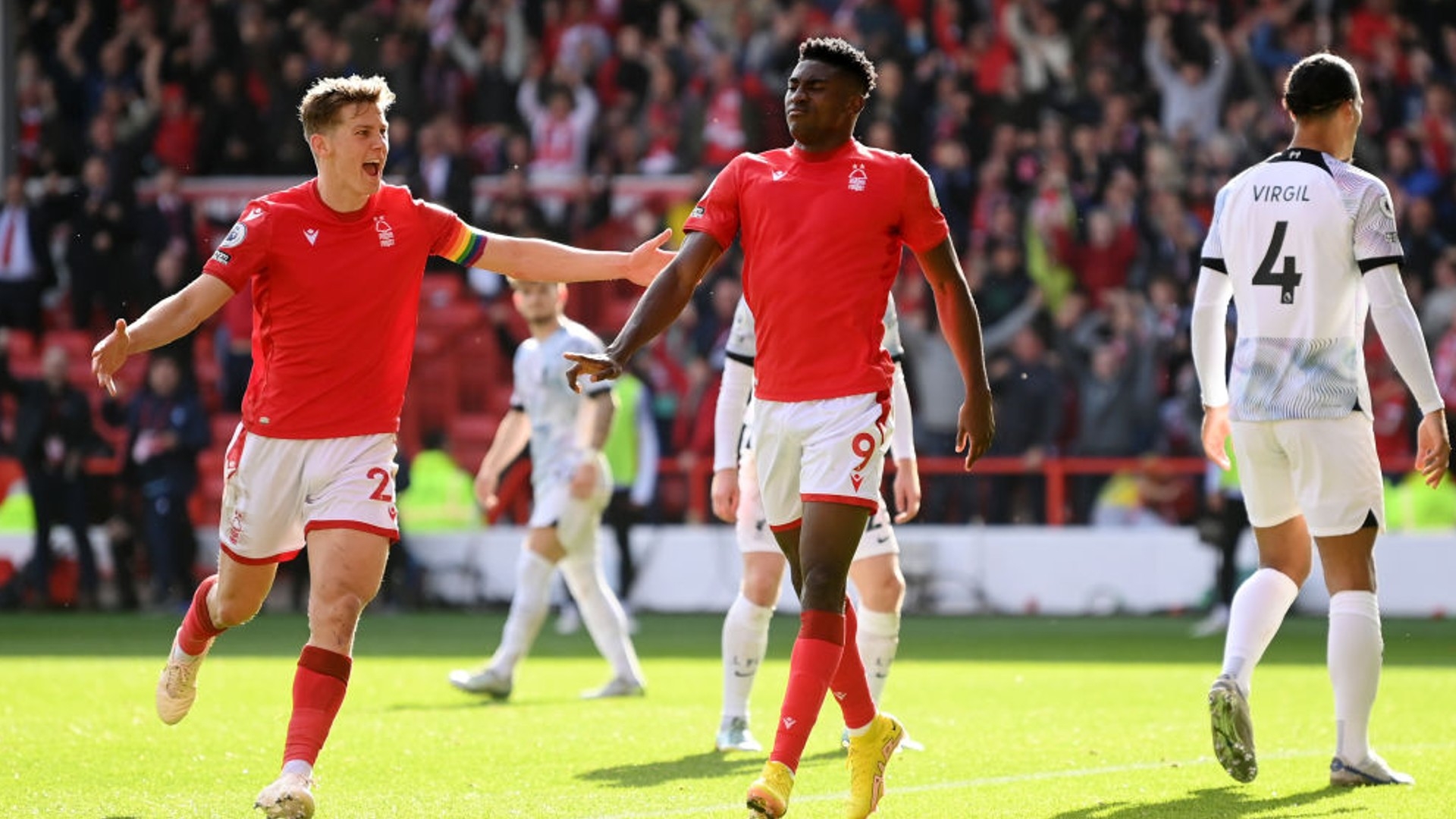 养之间的互 养之间的互